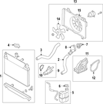 Mazda2 Radiator Hoses (OEM)