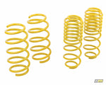 mountune Sport Spring Set 2014-2015 Fiesta ST